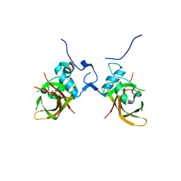 BU of 1ut4 by Molmil