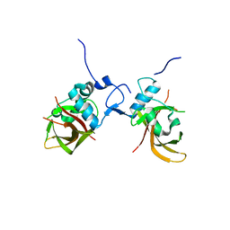 BU of 1ut7 by Molmil