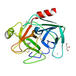 BU of 1utp by Molmil