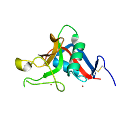 BU of 1uv0 by Molmil