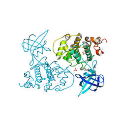 BU of 1uv5 by Molmil