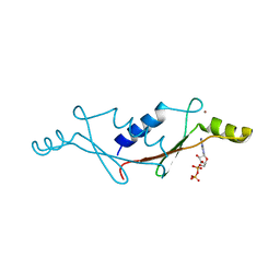 BU of 1uw1 by Molmil