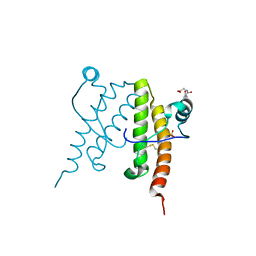 BU of 1uw3 by Molmil