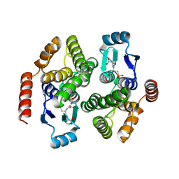 BU of 1v2a by Molmil
