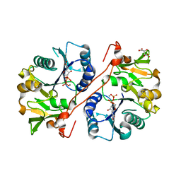 1v84 - Crystal structure of human GlcAT-P in complex with N