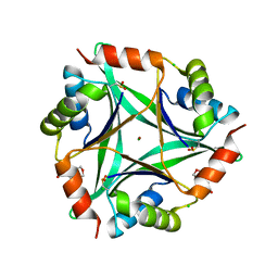 AU of 1v99 by Molmil