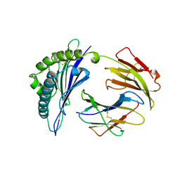 BU of 1vac by Molmil