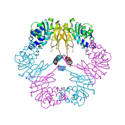 BU of 1vbf by Molmil