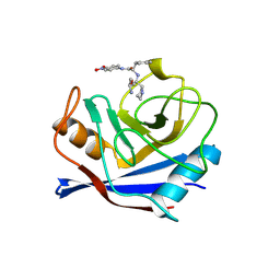 BU of 1vbt by Molmil