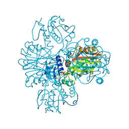 BU of 1vc2 by Molmil