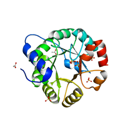 BU of 1vc4 by Molmil