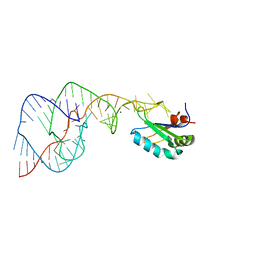 BU of 1vc6 by Molmil