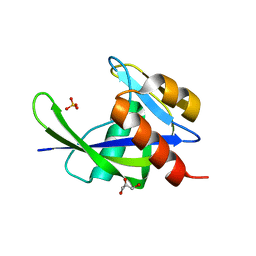 BU of 1vcd by Molmil