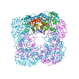 BU of 1vcf by Molmil