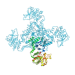 BU of 1vcm by Molmil