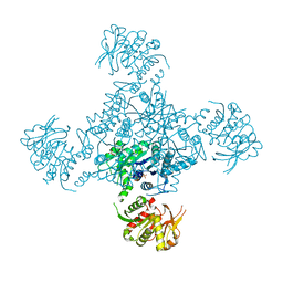 BU of 1vcn by Molmil