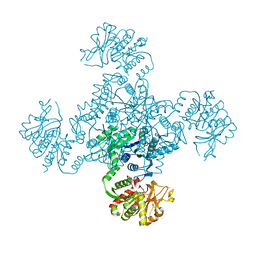 BU of 1vco by Molmil