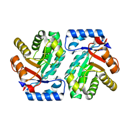 BU of 1vcv by Molmil