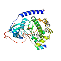 BU of 1veb by Molmil