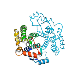 BU of 1vf4 by Molmil