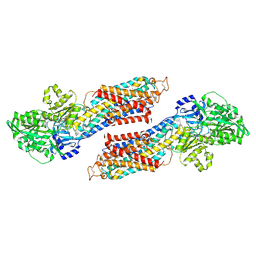 BU of 1vfp by Molmil