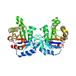 BU of 1vga by Molmil