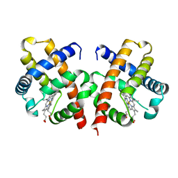 BU of 1vhb by Molmil