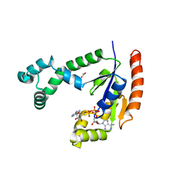 BU of 1vht by Molmil