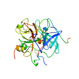 BU of 1vit by Molmil