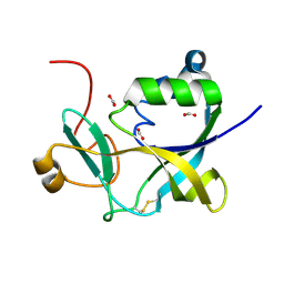 BU of 1vkb by Molmil