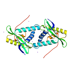 BU of 1vkc by Molmil