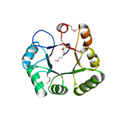 BU of 1vkf by Molmil