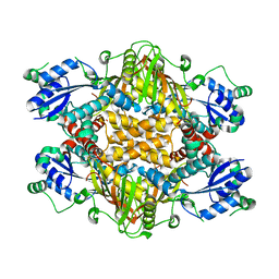 BU of 1vl2 by Molmil