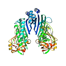 BU of 1vl4 by Molmil