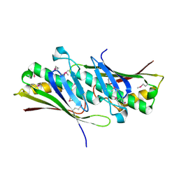 BU of 1vla by Molmil