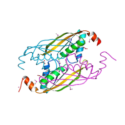 BU of 1vm0 by Molmil