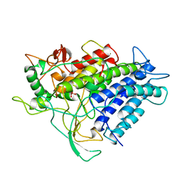 BU of 1vnf by Molmil