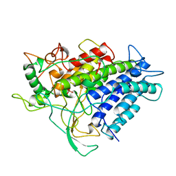 BU of 1vnh by Molmil