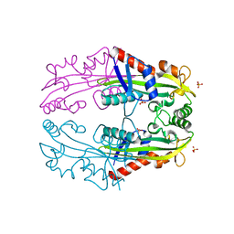 BU of 1vp2 by Molmil