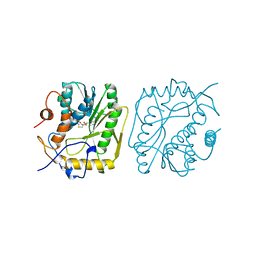 BU of 1vp3 by Molmil