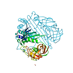 BU of 1vpb by Molmil