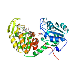 BU of 1vpe by Molmil