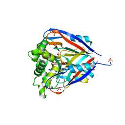 BU of 1vph by Molmil