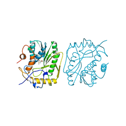 BU of 1vpt by Molmil