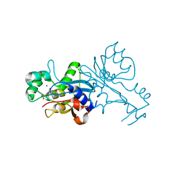 BU of 1vq2 by Molmil