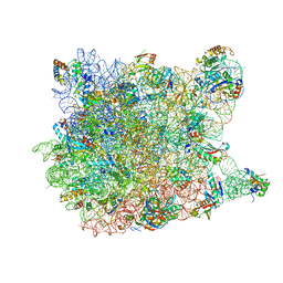 BU of 1vq4 by Molmil