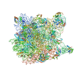 BU of 1vq6 by Molmil