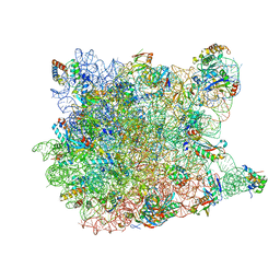 BU of 1vq7 by Molmil