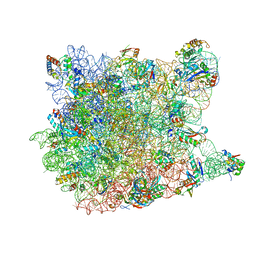 BU of 1vqm by Molmil