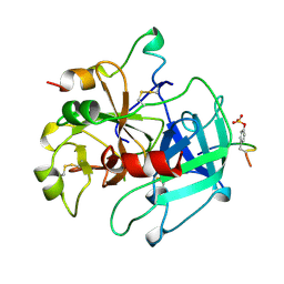 BU of 1vr1 by Molmil